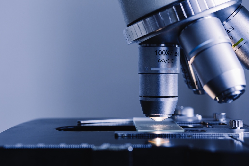 [ SR10010PA-1] Mouse Actc Differentiation Reporter (pGreenZeo, Plasmid)   