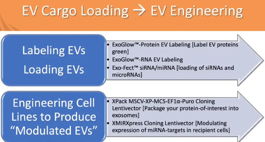 XPack MSCV-XP-MCS-EF1-Puro Cloning Lentivector   