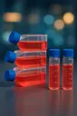 [iCell-m042] Mouse Bone Marrow Stromal Cells (OP9)