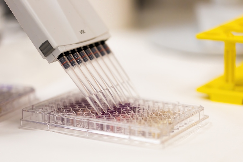 384-well NX PCR Plate, Natural 100 plates