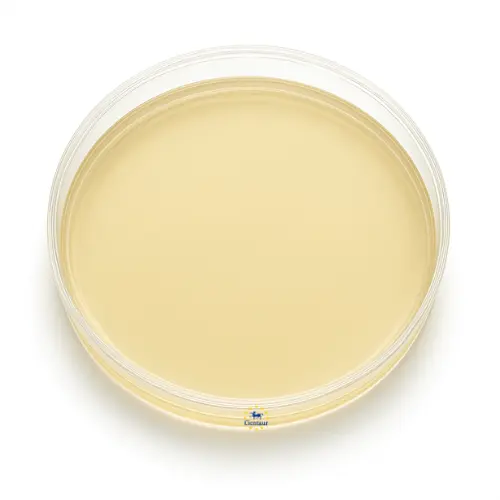  SS NoPro Agar Test