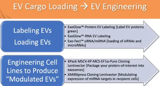 [ XPAK710PA-1] XPack MSCV-XP-MCS-EF1-Puro Cloning Lentivector   
